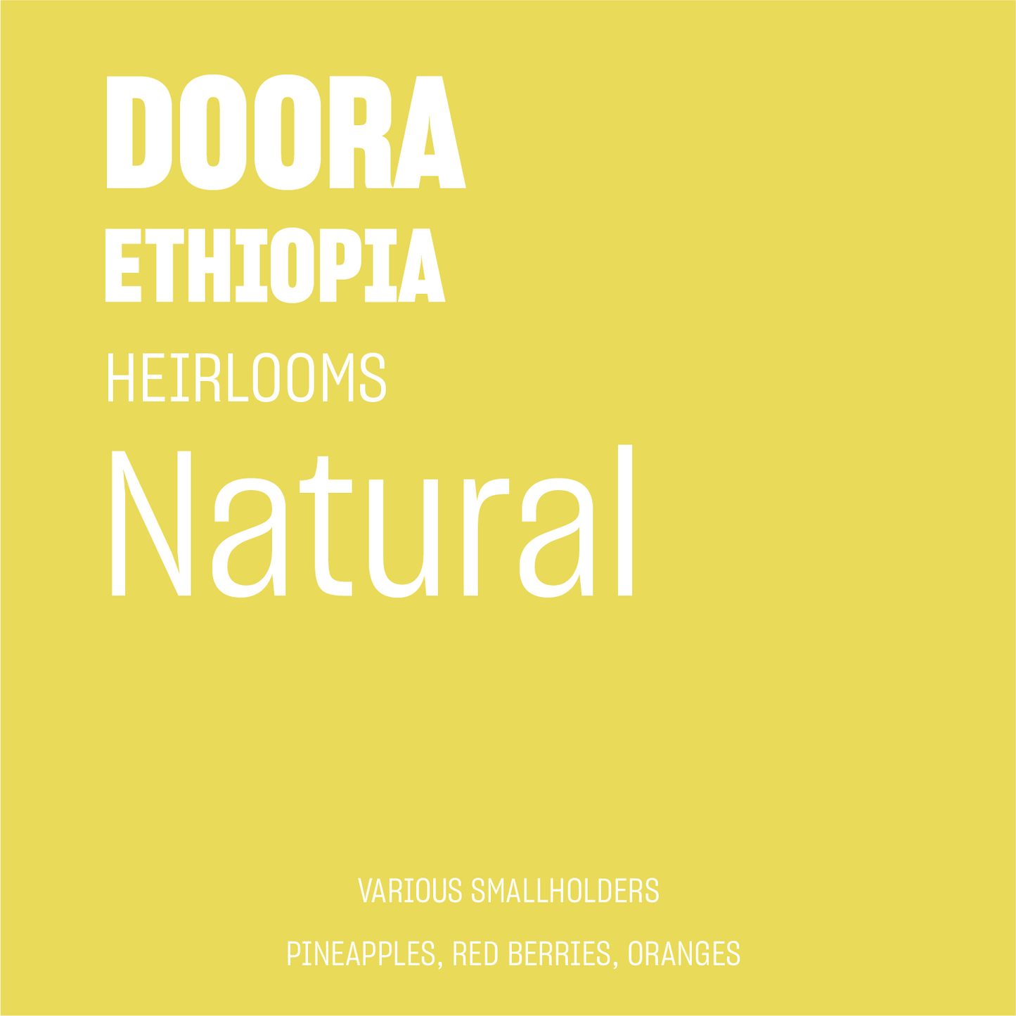 STAPLE l Doora Sidama Natural Heirloom Ethiopia