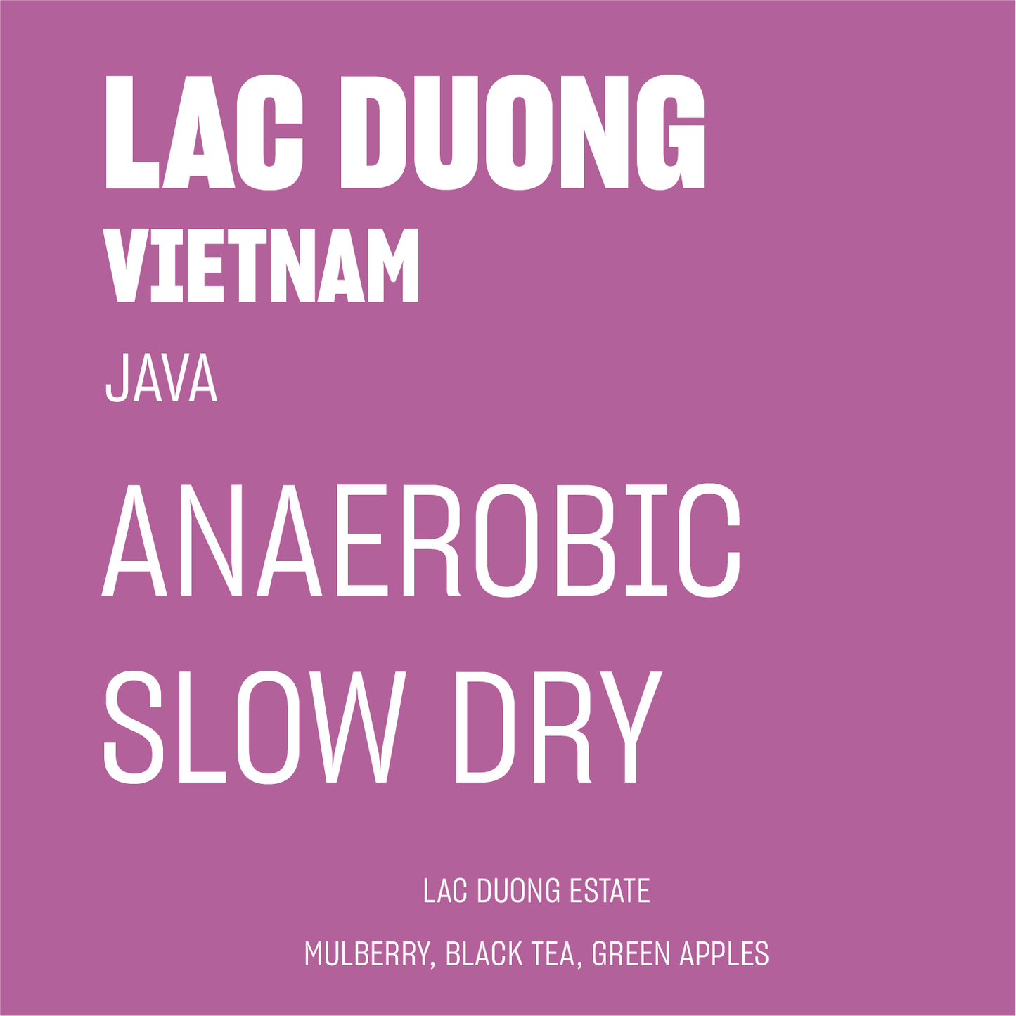 STAPLE l Lac Duong Anaerobic Slow Dry Java Vietnam