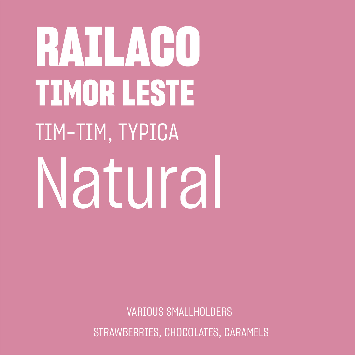 STAPLE l Railaco Ermera Natural Tim-Tim & Typica Timor Leste