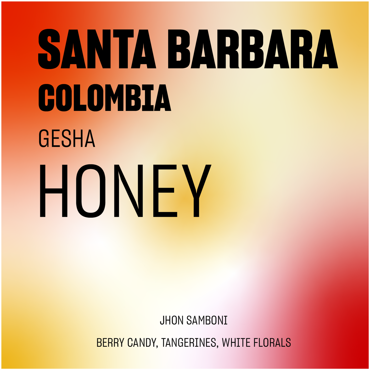 DISCOVERY | Santa Barbara #1 Honey Gesha Colombia