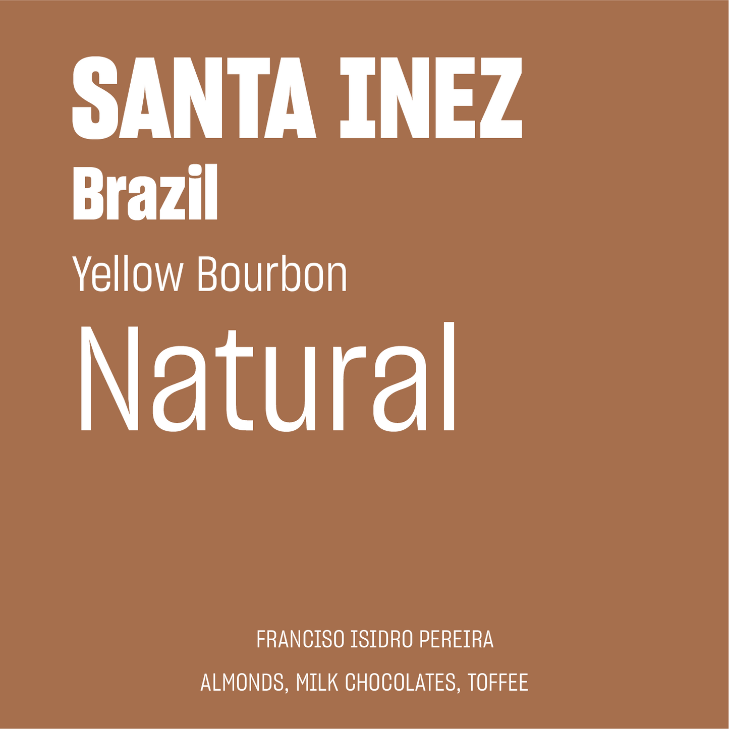 STAPLE l Santa Inez Natural Yellow Bourbon Brazil