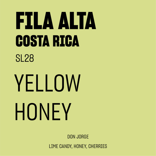 STAPLE l Finca Fila Alta Yellow Honey SL28 Costa Rica