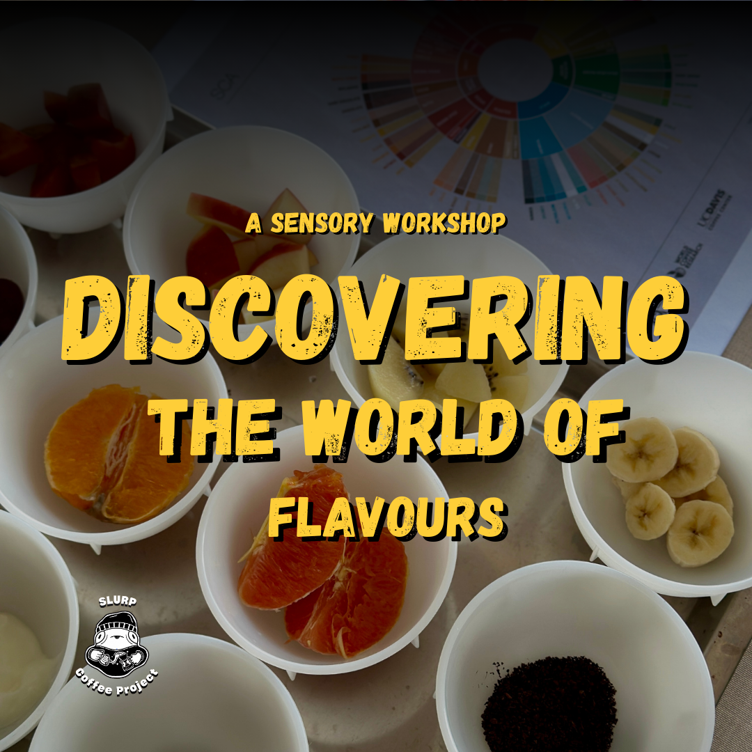 DISCOVERING THE WORLDS OF FLAVOURS (Sensory)