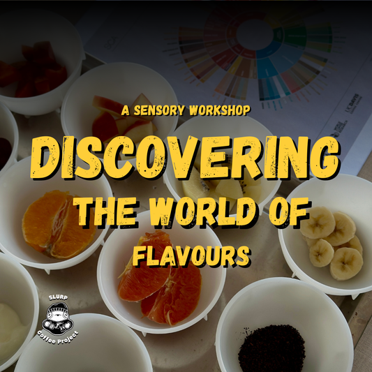 DISCOVERING THE WORLDS OF FLAVOURS (Sensory)