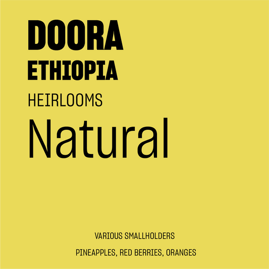 STAPLE l Doora Sidama Natural Heirloom Ethiopia