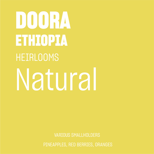STAPLE l Doora Sidama Natural Heirloom Ethiopia