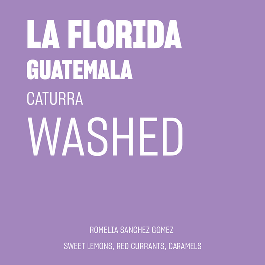 STAPLE l La Florida Washed Caturra Guatemala