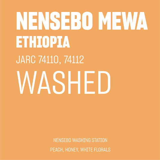 STAPLE l Nensebo Mewa Washed Jarc 74112 & 74110 Ethiopia