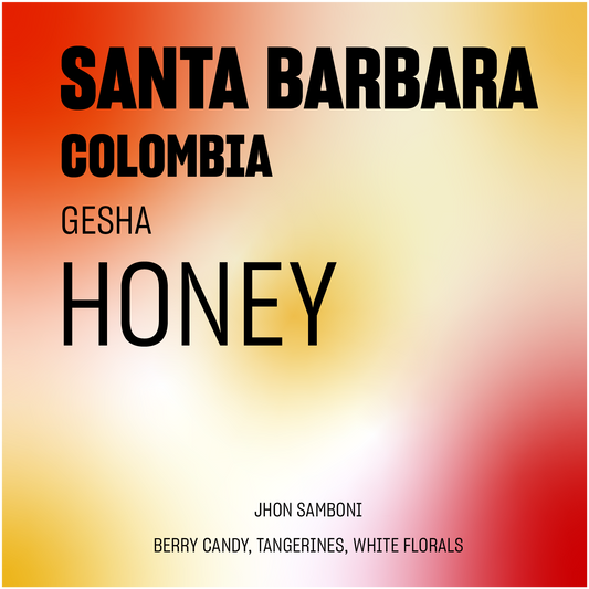 DISCOVERY | Santa Barbara #1 Honey Gesha Colombia