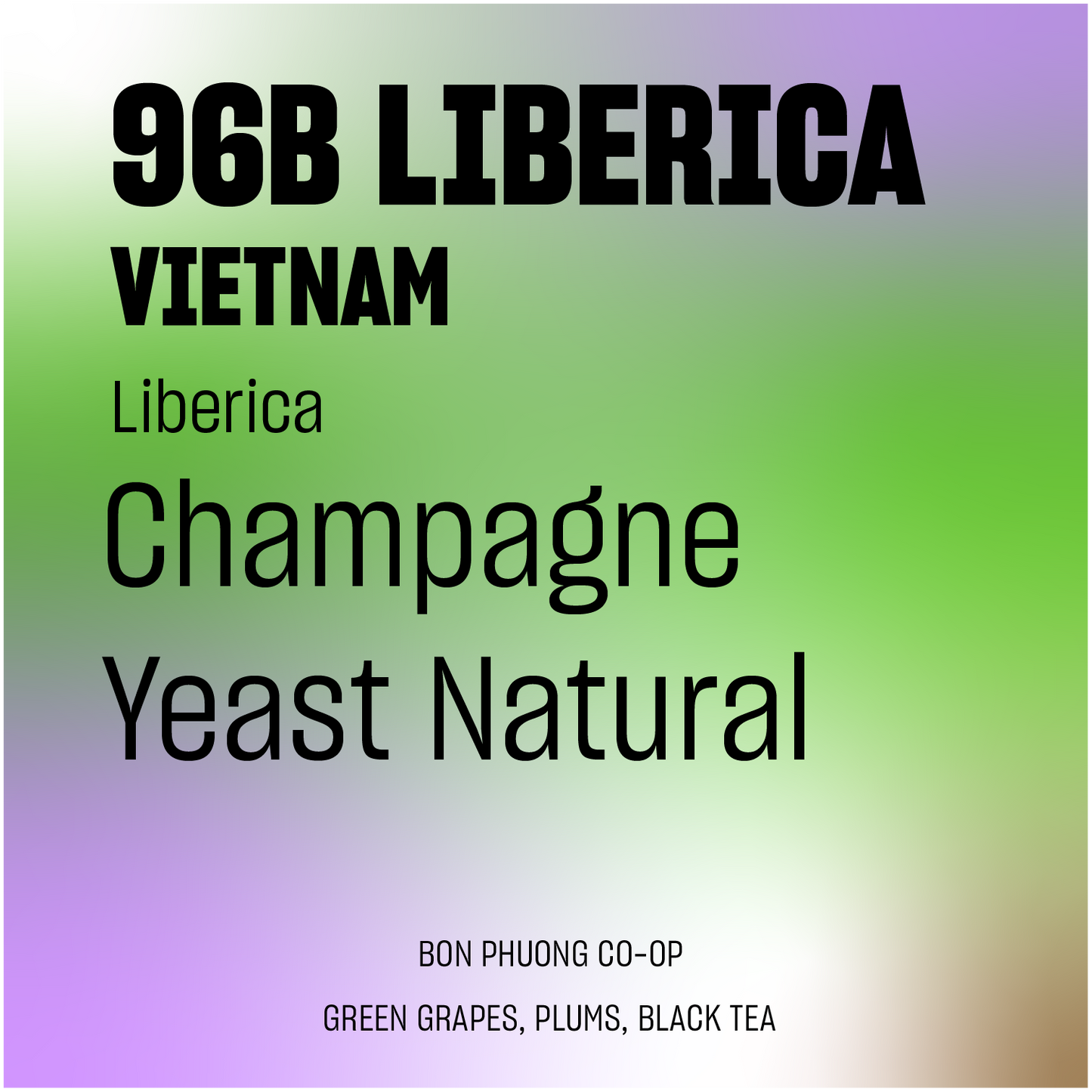 DISCOVERY | 96B Liberica Project Champagne Yeast Natural Liberica Vietnam