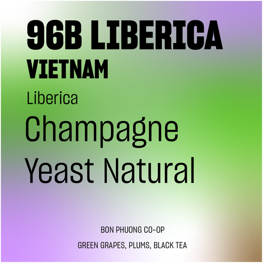 DISCOVERY | 96B Liberica Project Champagne Yeast Natural Liberica Vietnam