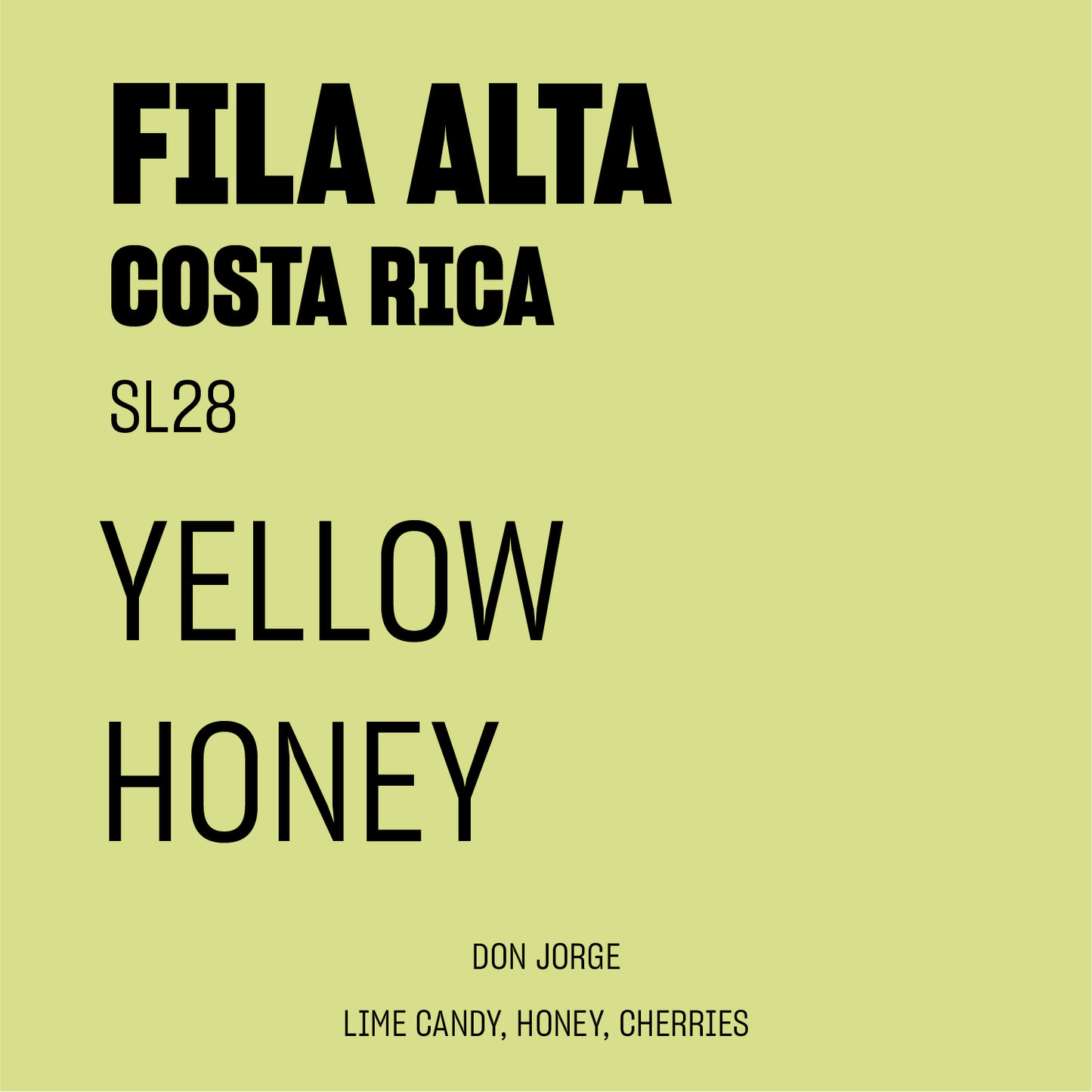 STAPLE l Finca Fila Alta Yellow Honey SL28 Costa Rica
