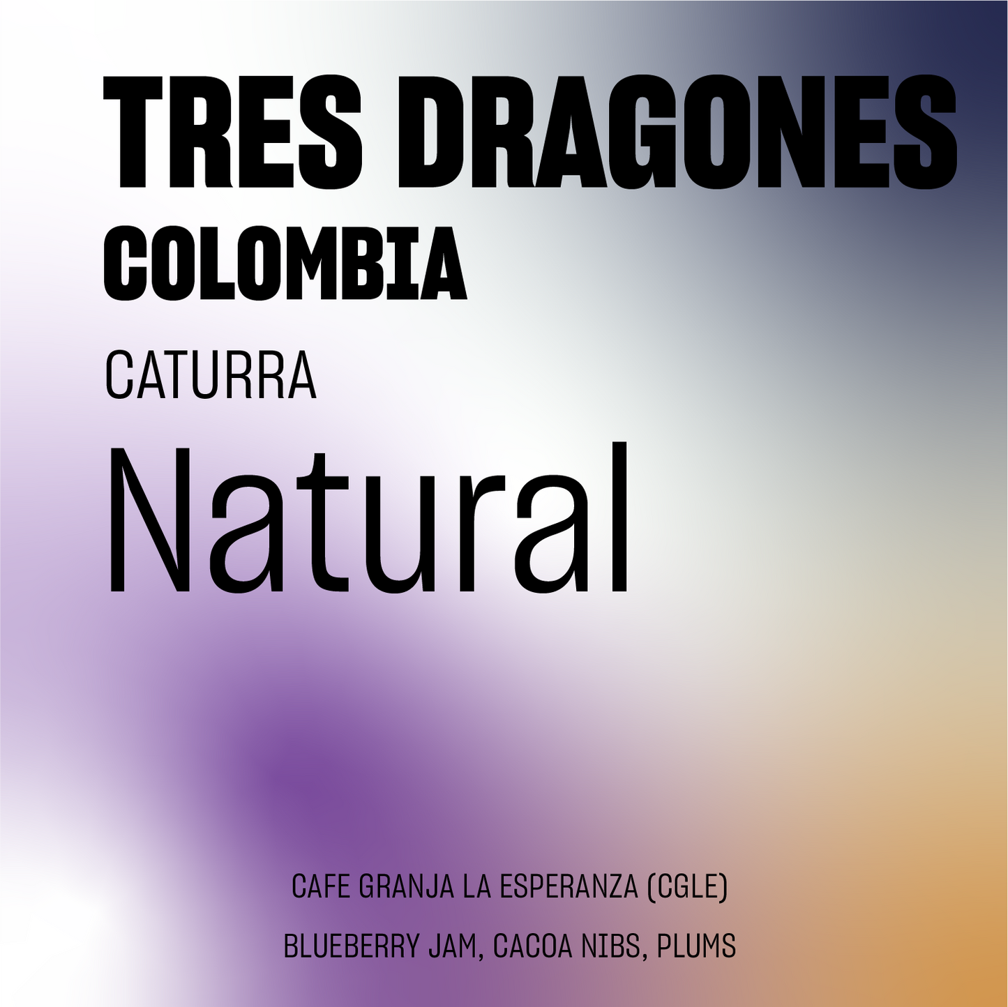 DISCOVERY | Tres Dragones Natural Caturra Colombia