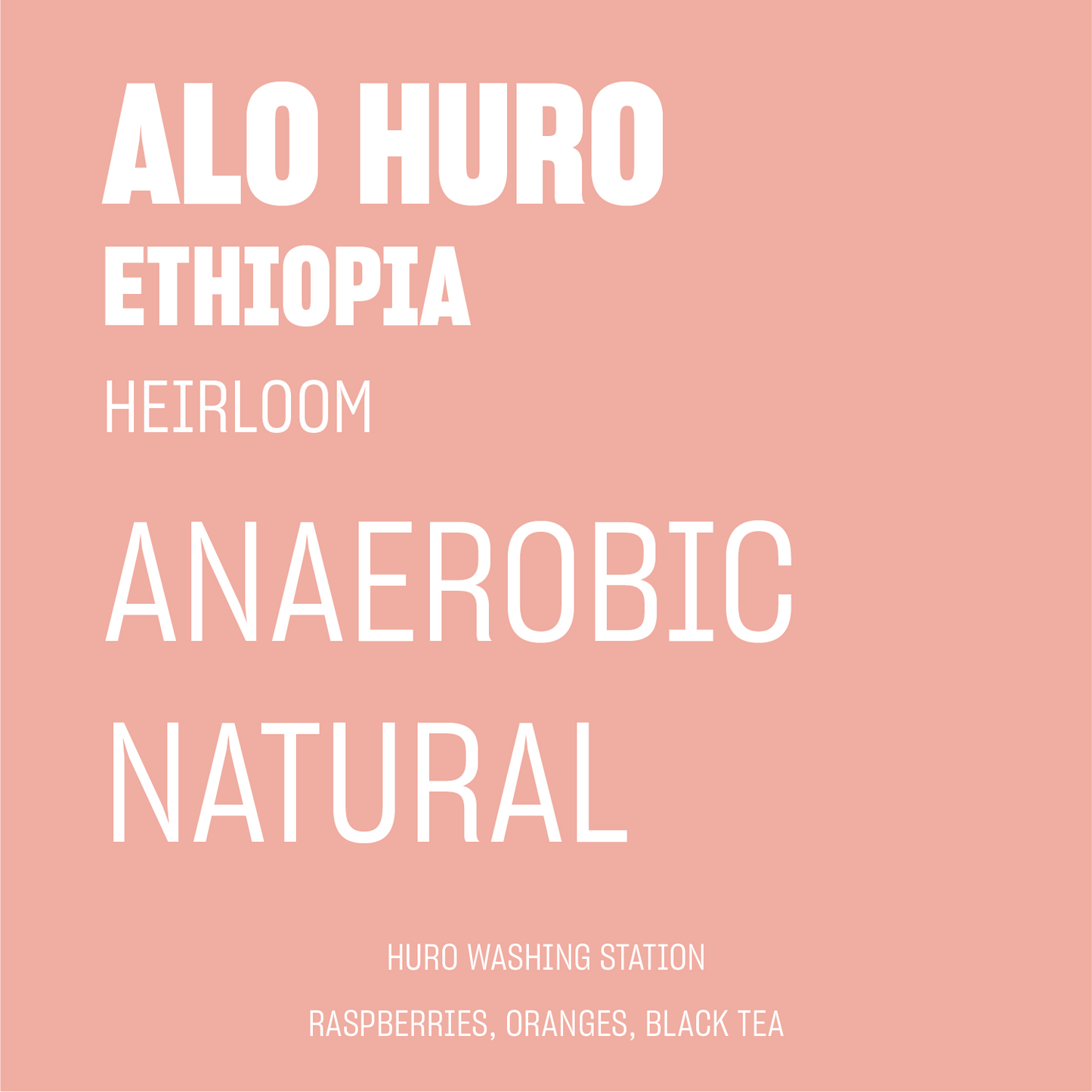 STAPLE l Huro Bensa Anaerobic Natural Heirloom Ethiopia
