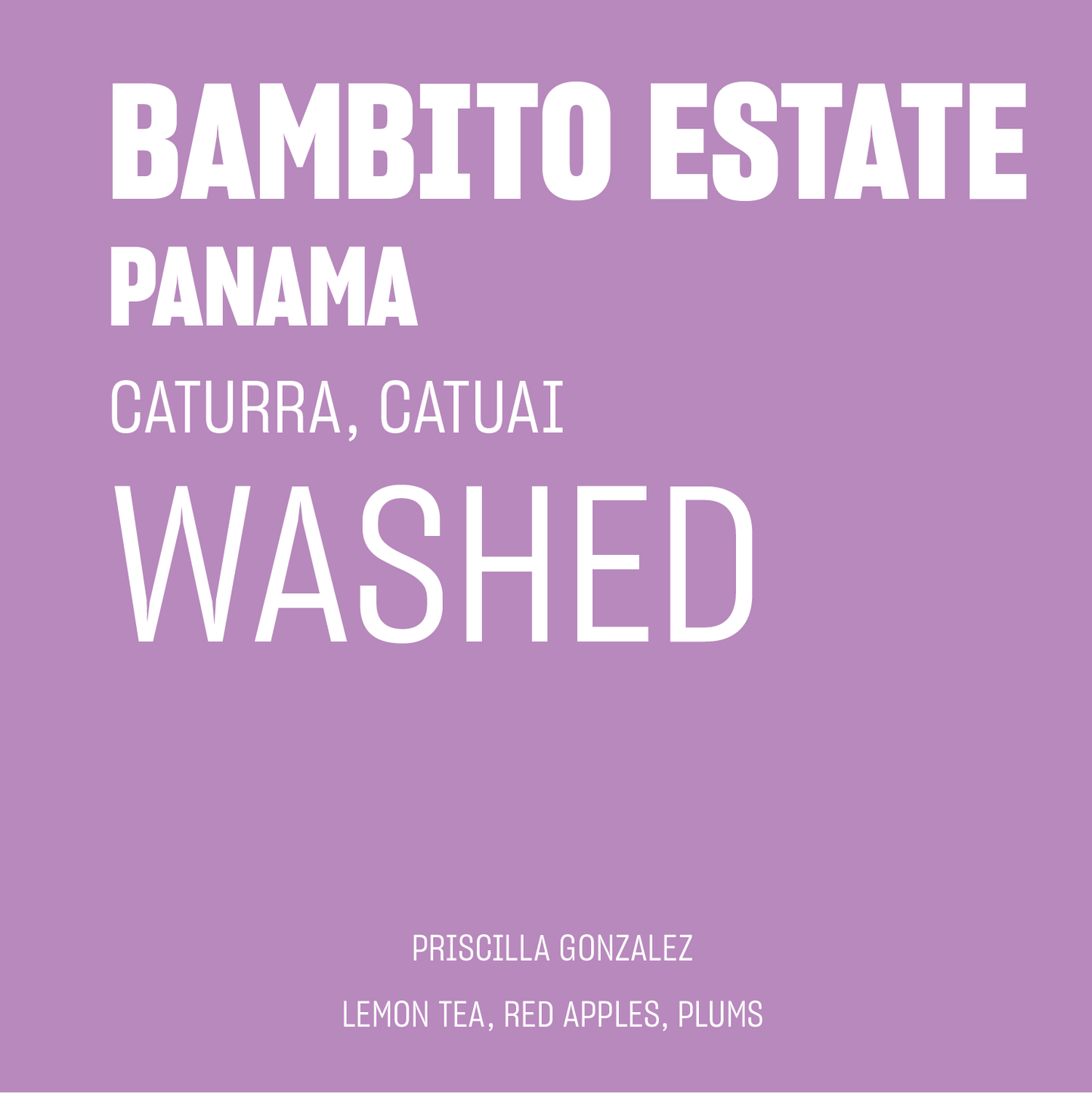 STAPLE l Bambito Estate Washed Catuai & Caturra Panama