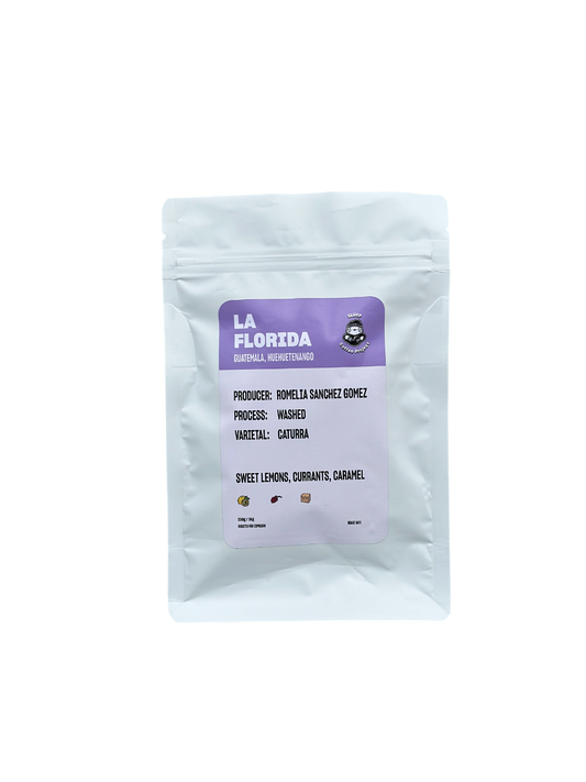 STAPLE l La Florida Washed Caturra Guatemala