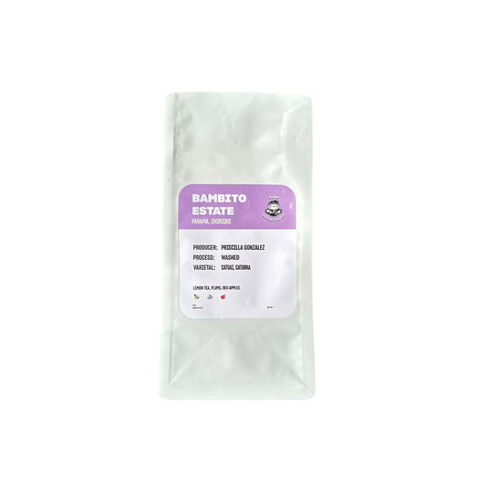 STAPLE l Bambito Estate Washed Catuai & Caturra Panama